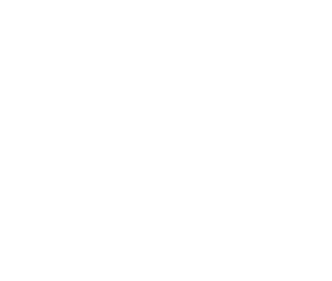 amazingreunion logo